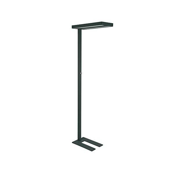 MAUL LED-Standleuchte MAULjaval